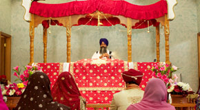 Punjabi and Sikh Weddings