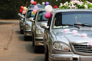 Wedding Transportation Arrangements